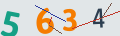 verifycode